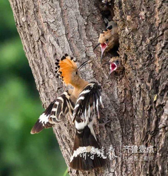 壹恩币最新动态,全面指南教你获取、使用及交易壹恩币的方法与技巧