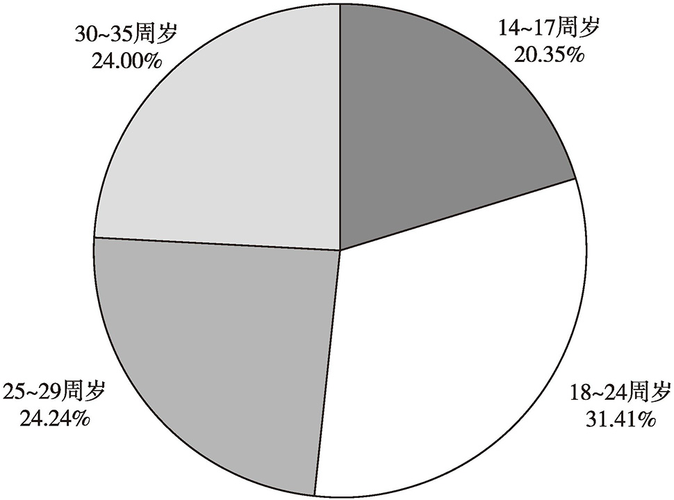 最新青年年龄范围与高科技融合，未来生活体验新篇章