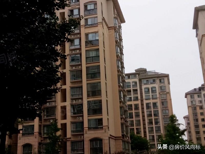 绿色经典精盛青稞酒 第494页