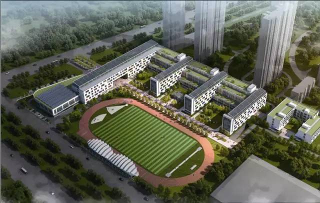 涿州北师大最新动态更新，最新消息汇总