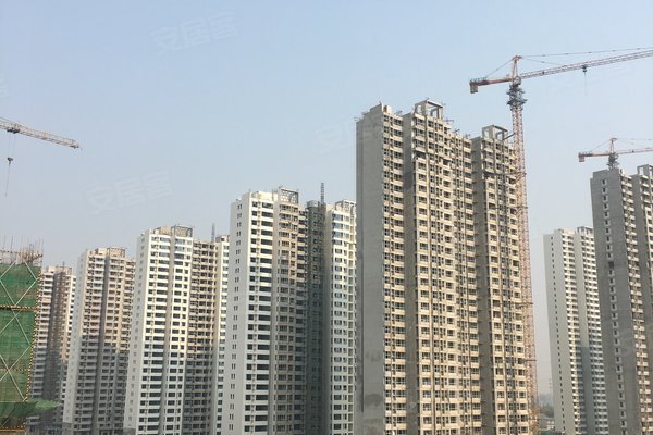 绿色经典精盛青稞酒 第493页