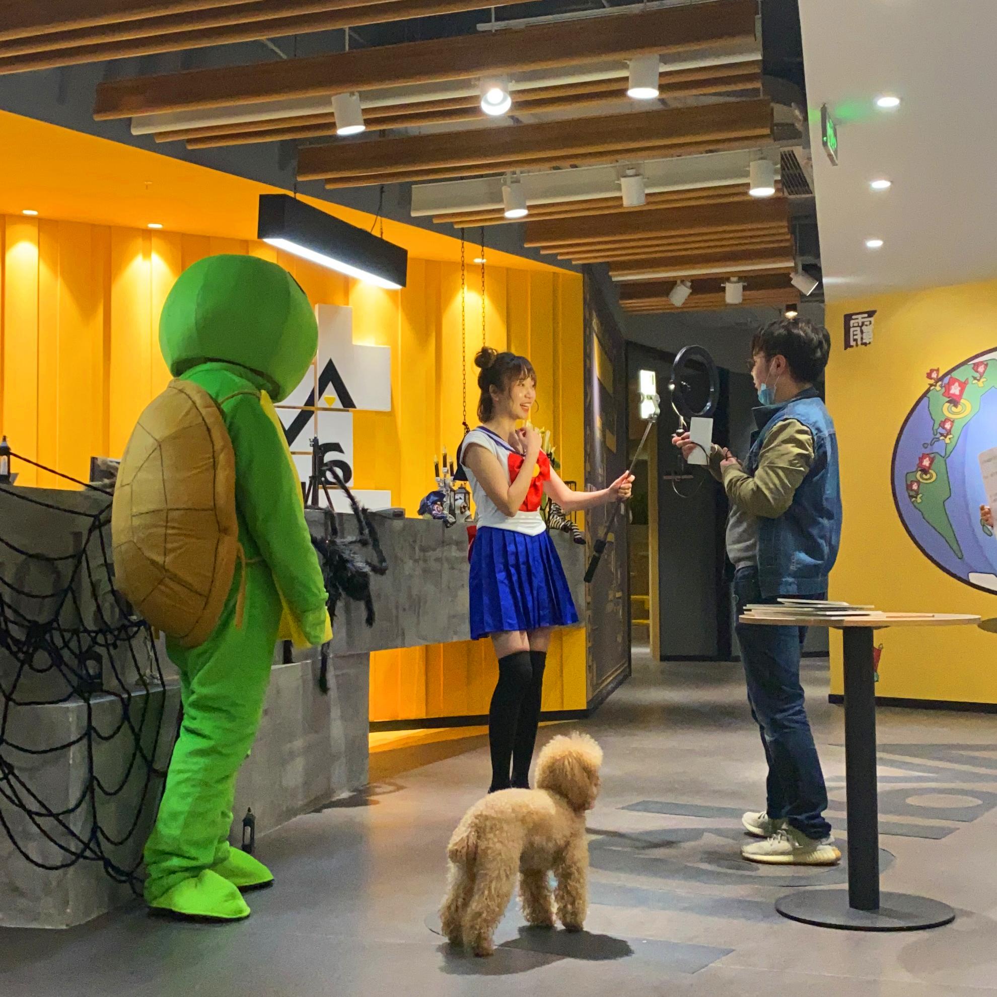 软件园二期最新招聘,友情与梦想的交汇点