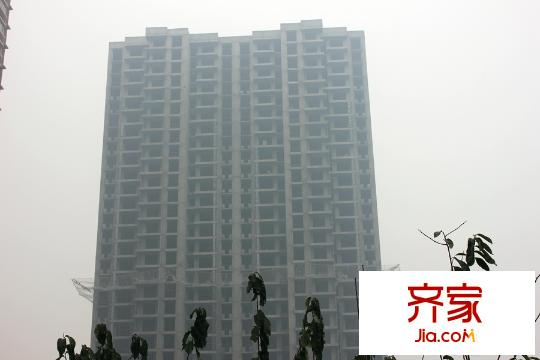 同美生活区邻里日常趣事与深厚友情纽带最新报道