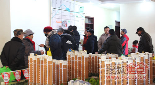 同美生活区邻里日常趣事与深厚友情纽带最新报道