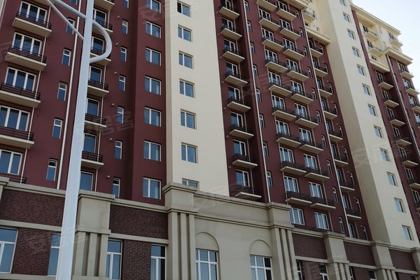 同美生活区邻里日常趣事与深厚友情纽带最新报道