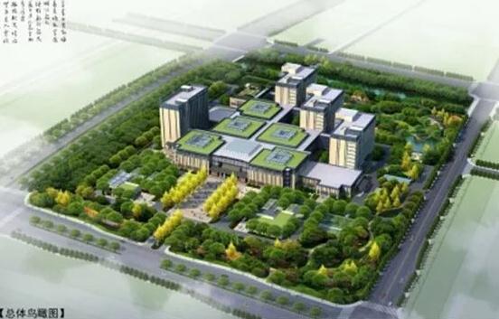 丁桥中医院最新动态与医疗服务流程体验指南