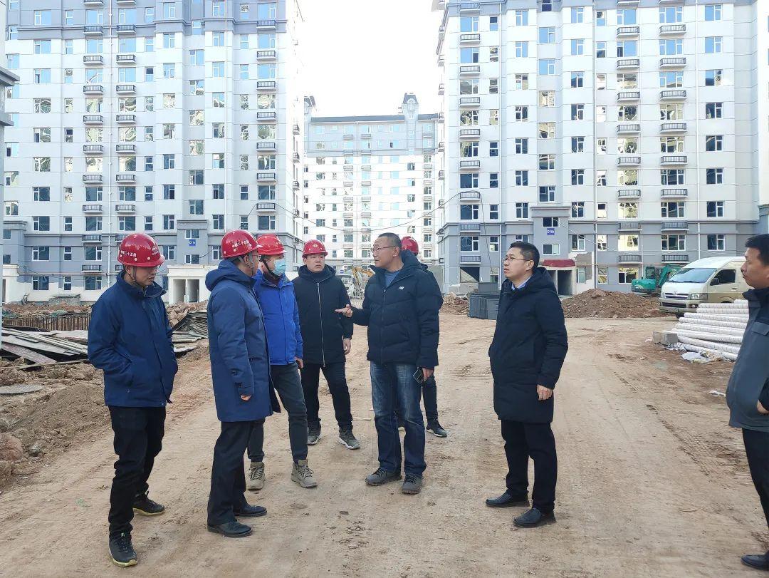 峰峰矿区政府最新动态报道