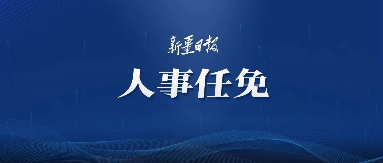 新华网人事任免最新消息发布,高层人事变动揭秘