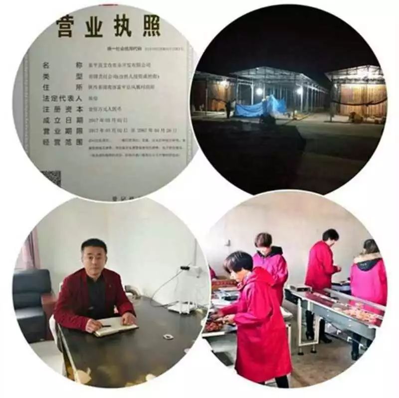 陕西省富平县最新招聘启事，追梦富平，学习成就未来职业之路