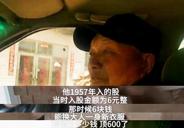 信用社股金最新动态，小巷中的隐秘宝藏揭秘