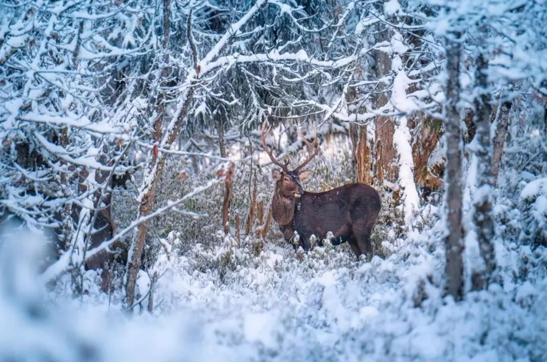 天全二郎山最新路况详解及观点论述