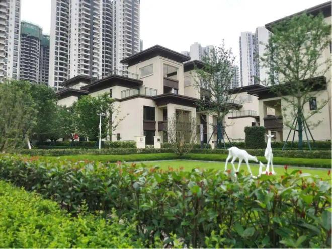 四川南部县最新房价解析，观点阐述与深度探析