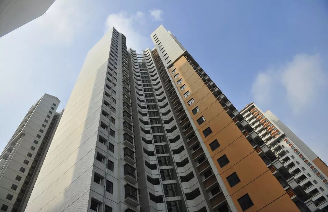 身份证改名字最新规定概览