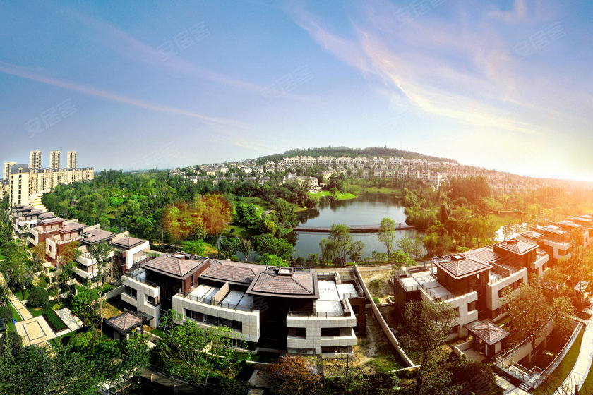 万科五龙山最新动态，变革中的力量与自信成就感的展现