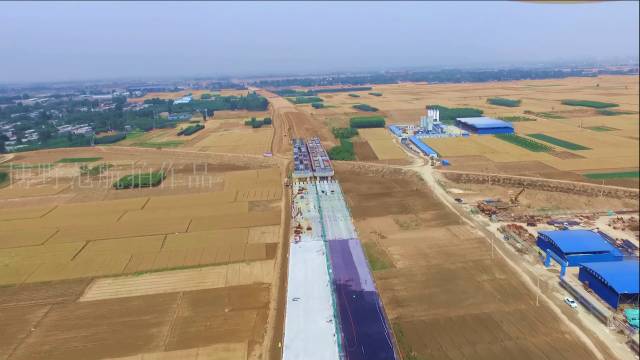 曲港高速博野段最新进展报告