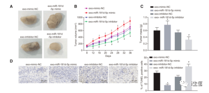 每天提供最新免费资料,最新数据挖解释明_WPE83.382定义版