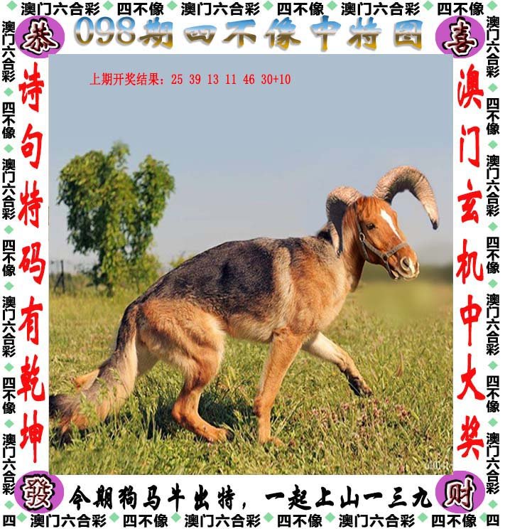 保健品 第458页