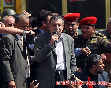 今日埃及新闻回顾,沙漠中的温馨日常报道最新消息