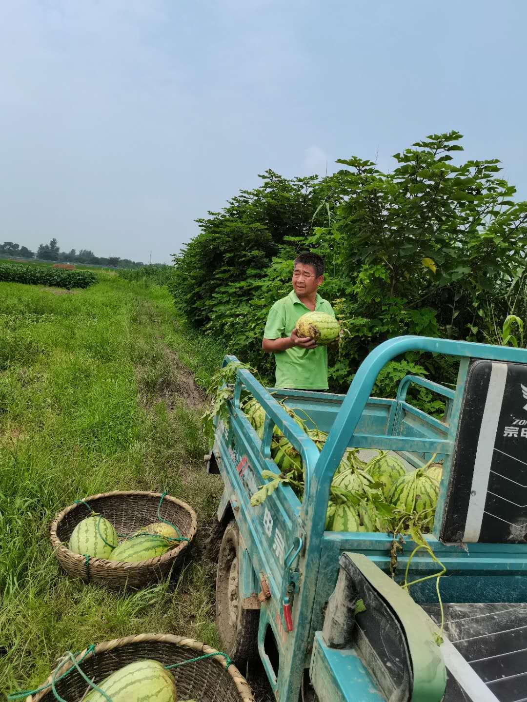 五A添盛坊青稞原浆 第473页