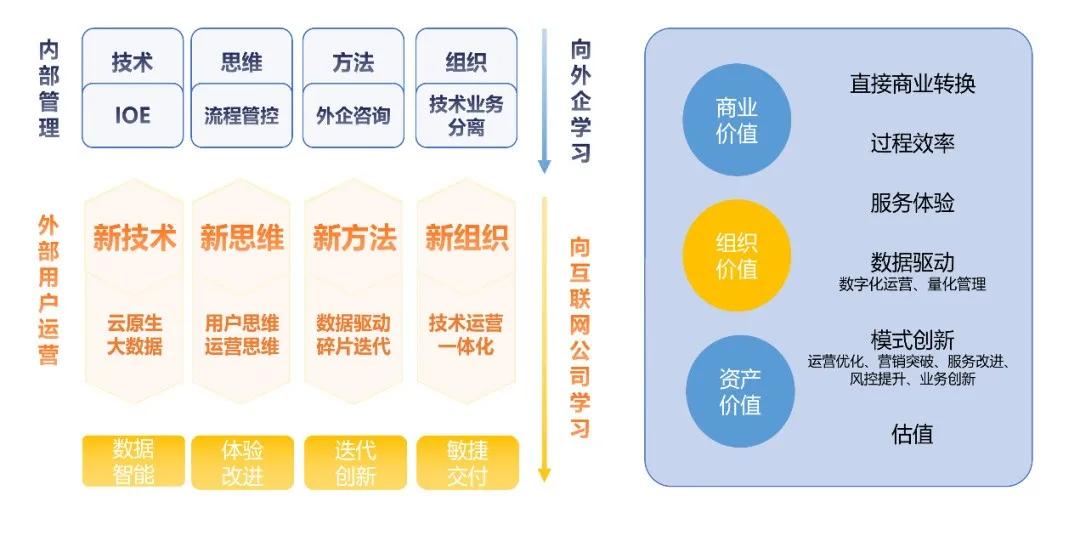 保健品 第452页