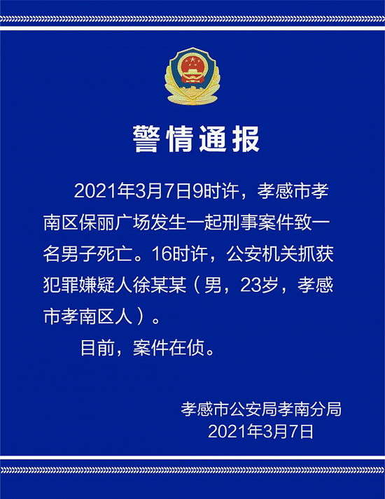 湖北孝感最新刑事案件概述及进展