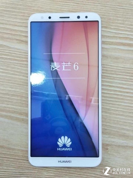 保健品 第423页