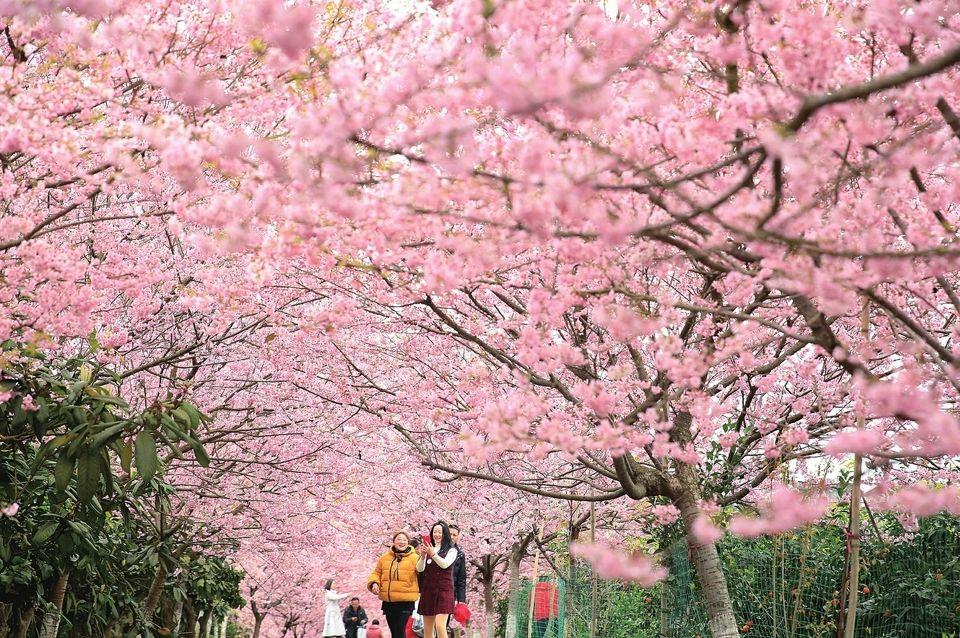 二月南山集团最新动态全解析，指南与步骤详解