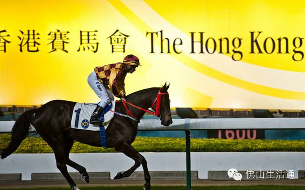 2024香港赛马全年免费资料,最新答案诠释说明_闪电版99.103