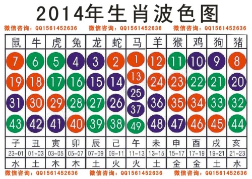 2024十二生肖49码表,数据科学解析说明_方便版54.486