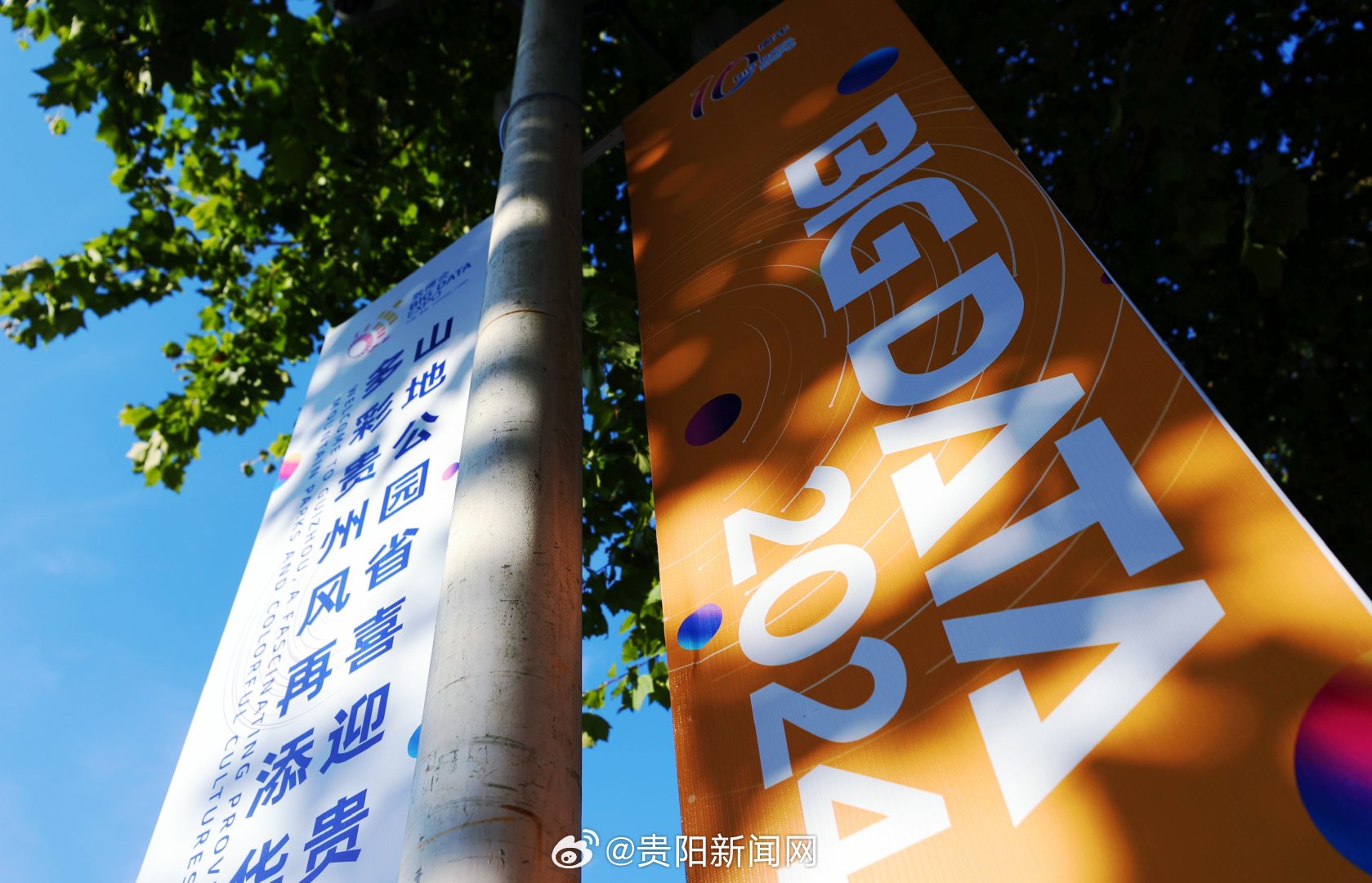保健品 第398页