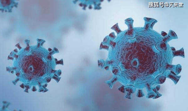 新澳今晚开什么号码,專家解析意見_原汁原味版84.214