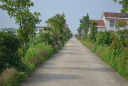 岳阳县新开镇最新规划及其论述揭秘