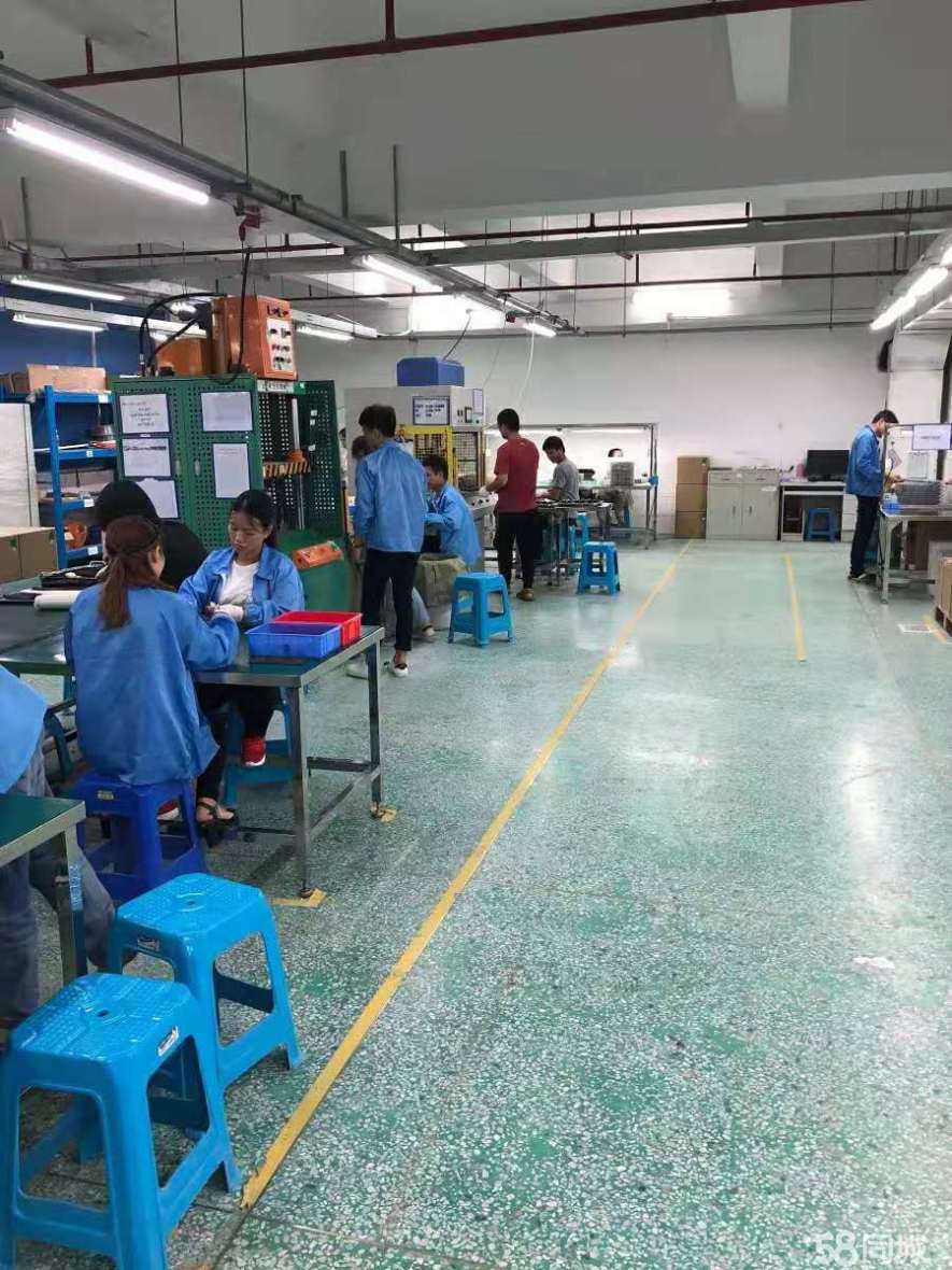 重庆模切最新招聘信息及其探析