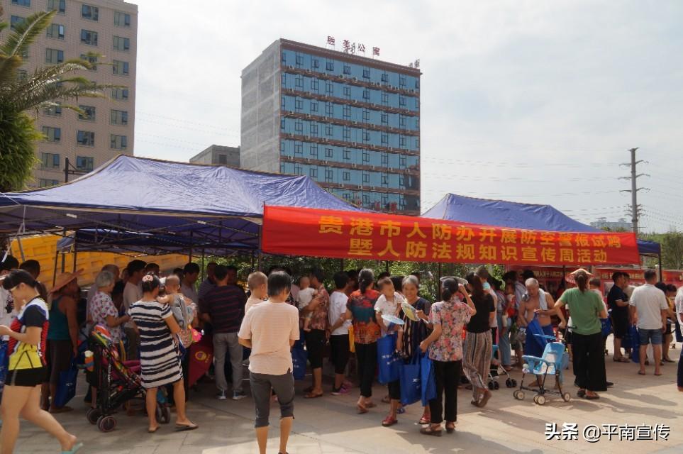 平南凤凰名城最新动态，多维解读发展态势与深远影响