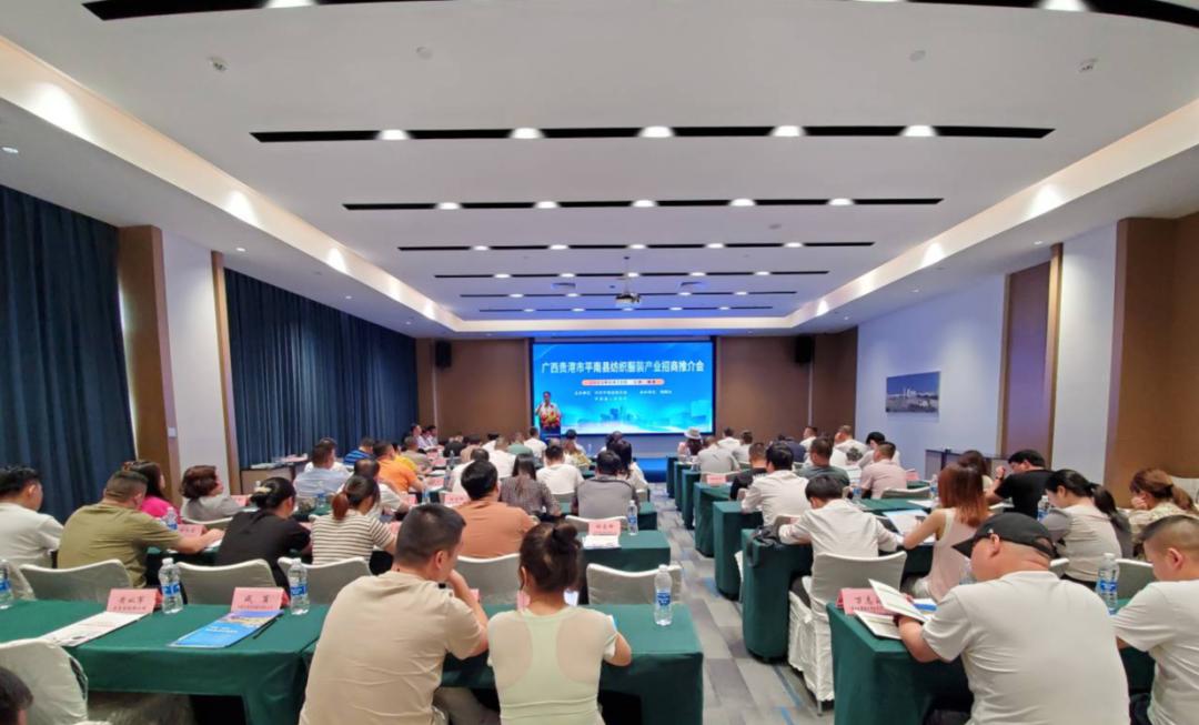 平南凤凰名城最新动态,多维解读发展态势与深远影响