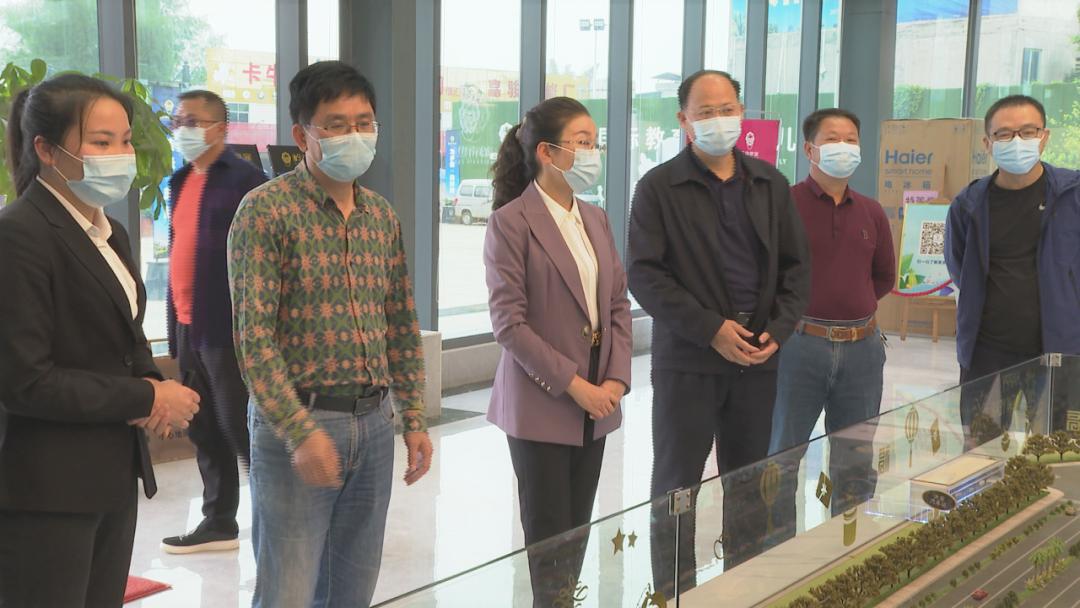 平南凤凰名城最新动态,多维解读发展态势与深远影响