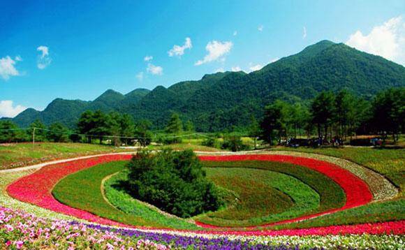 巫溪康清友最新情况论述与分析