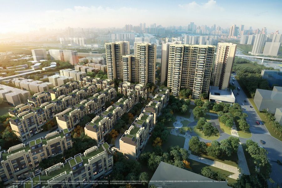 成都高新区最新楼盘，市场热度与个人选择的交汇点