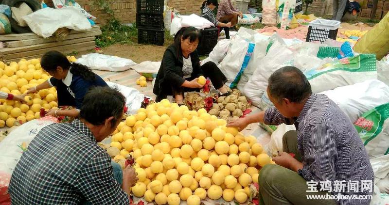 扶风法门高中，教育新篇章的开启
