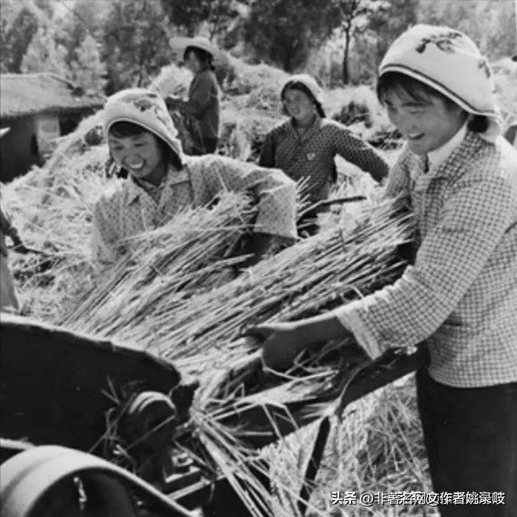 扶风法门高中,教育新篇章的开启