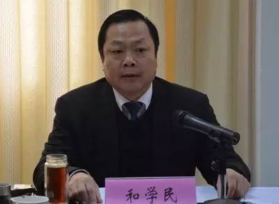 和学民最新动态，温馨日常中的爱与陪伴