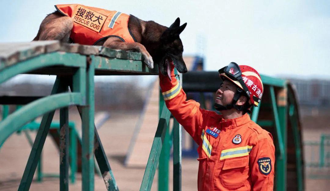 包头楼房爆炸最新消息与一场自然美景的治愈之旅更新报告