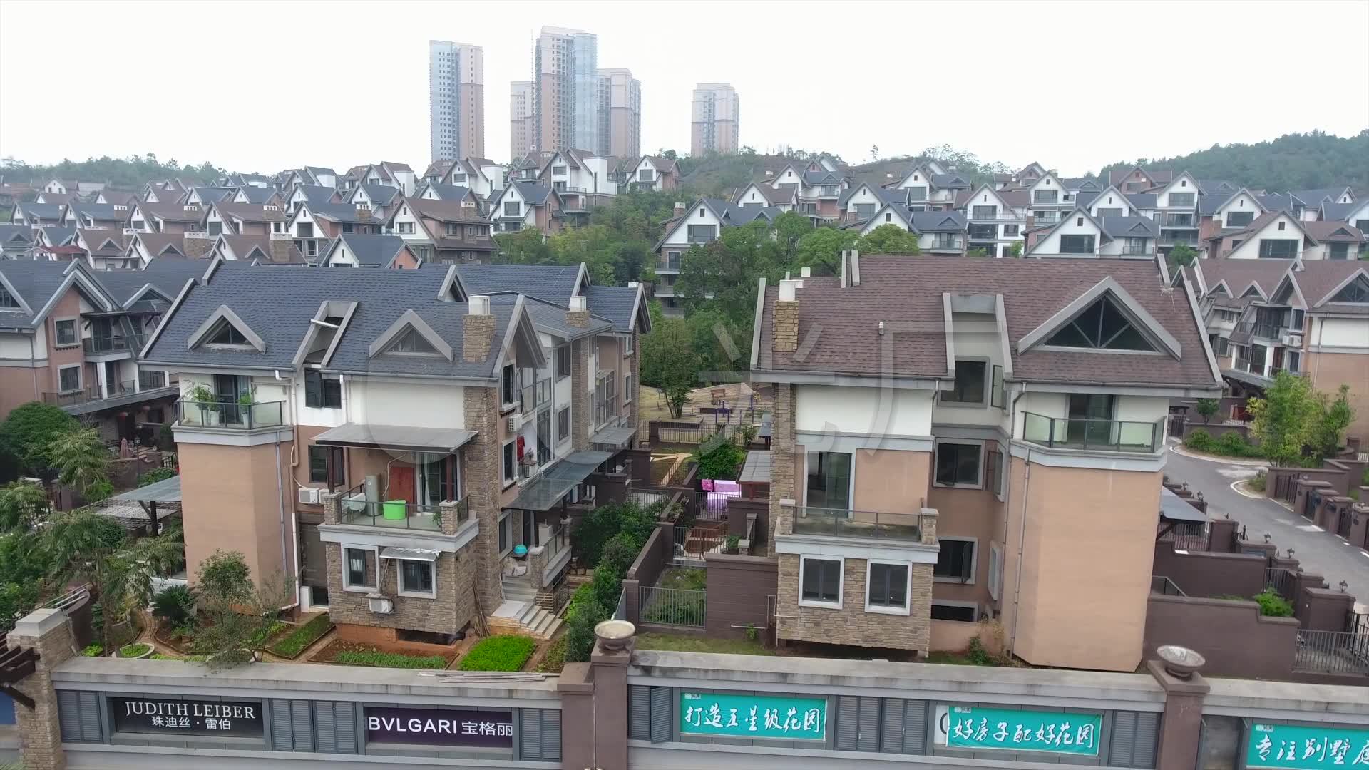 株洲青龙湾最新动态更新,最新消息汇总