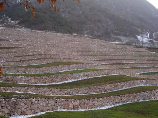 刘丰最新,时代之光下的杰出人物风采