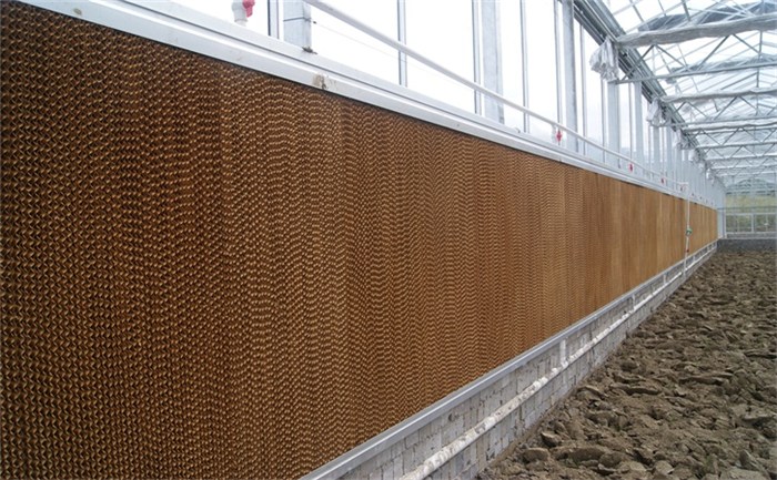 水帘新风尚,享受温馨快乐时光