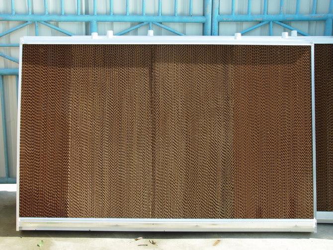 水帘新风尚,享受温馨快乐时光