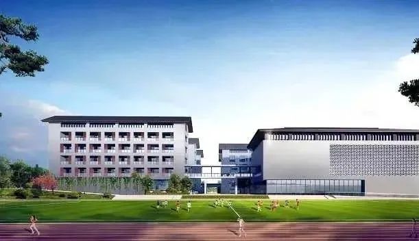 中育才最新，小巷深处的独特风味教育探索