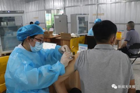 乐山肺炎最新动态,自然美景探索之旅,寻求内心平和与宁静