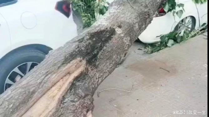 保健品 第371页