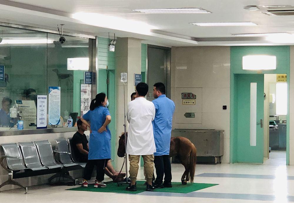 最新糖尿病治疗指南,全面步骤与策略